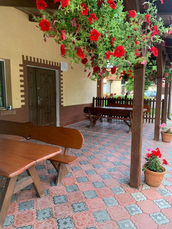 Noclegi Ciesiul Orneta المظهر الخارجي الصورة